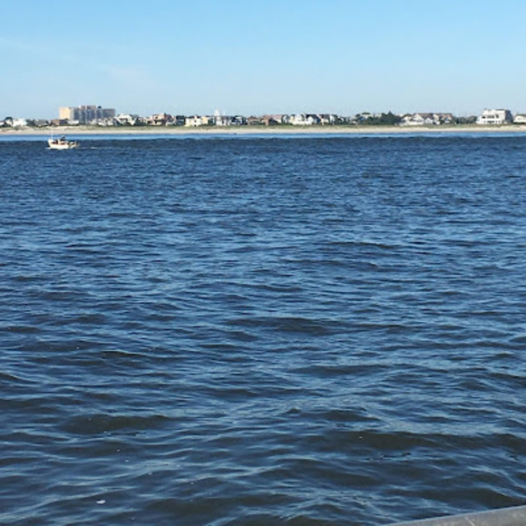 Meet your Posher, Gamer - Picture 1 of 1